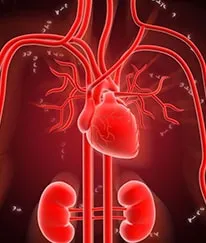 Nephrology Hospital in Calicut